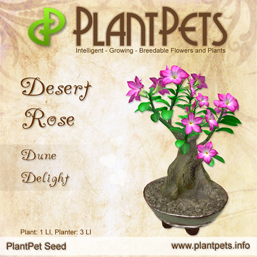 PlantPet Seed [Desert Rose *Dune Delight*]