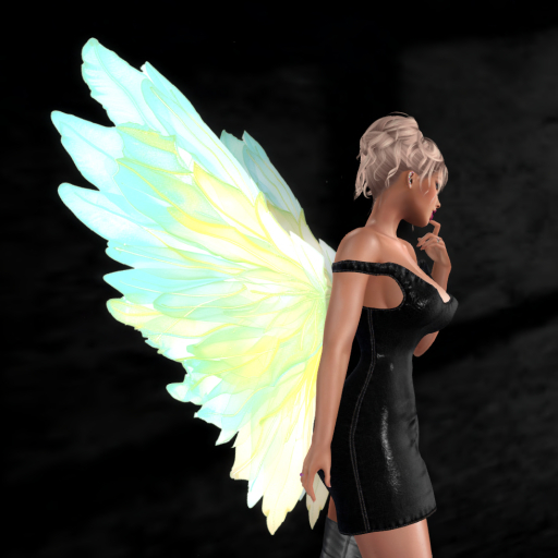 Wild Rose  Wings N54 DEMO  Unpacker HUD (add)