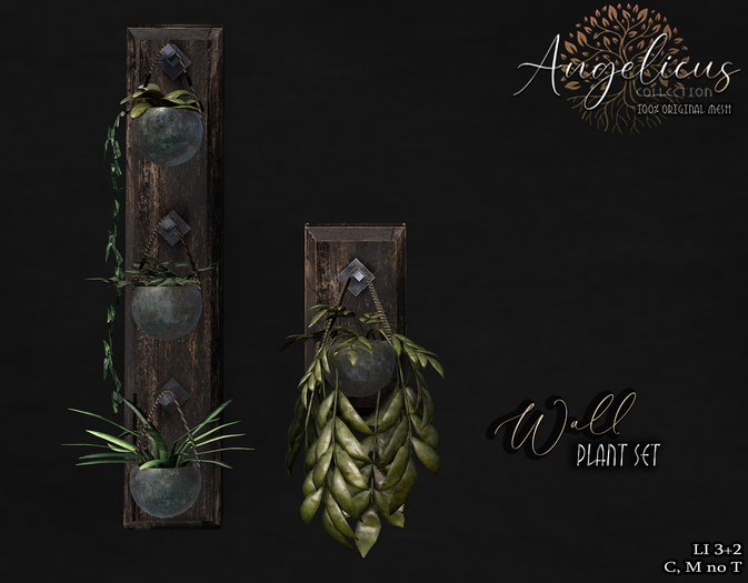 .AngelicUs. wall plant  set 