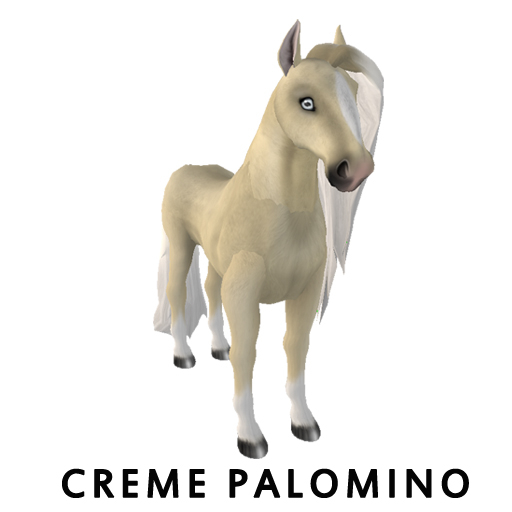 Creme Palomino diamond WH BUNDLE