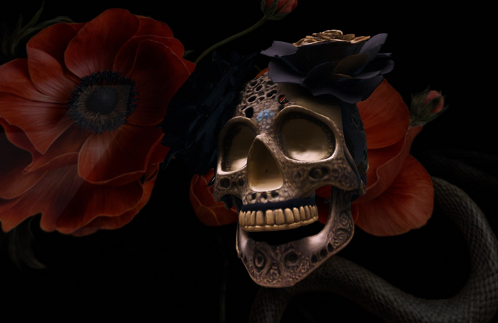 Skull Muerta Gavina Gacha