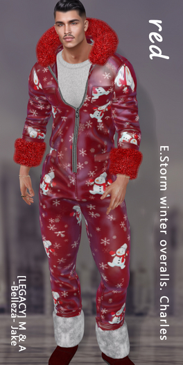 E.Storm winter overalls. Charles red