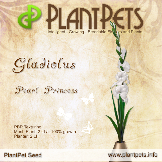 PlantPet Seed [Gladiolus *Pearl Princess*]