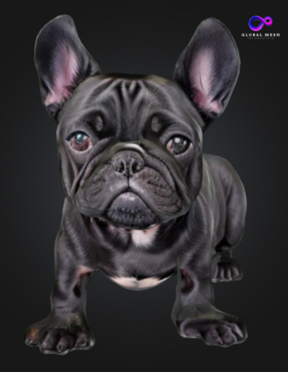 GLOBAL MESH - Bulldog French