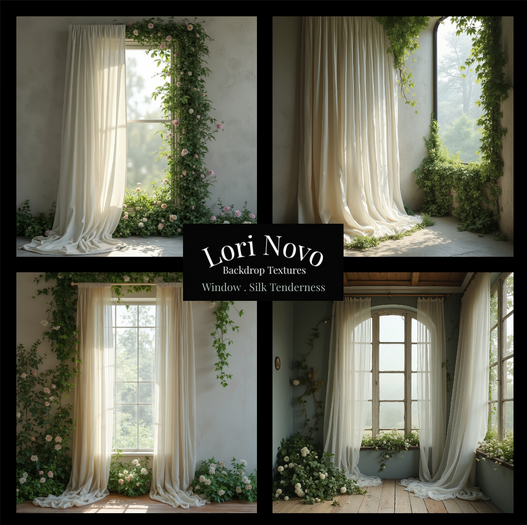 LORI NOVO . Window . Silk Tenderness