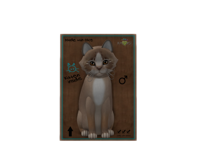 KittyCatS Box - 2+1T M Genesis Mocha II TeaCup