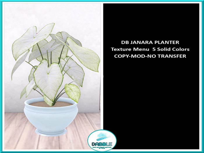 DB JANARA PLANTER  add me