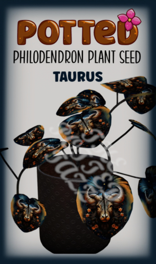Potted: Philodendron Plant Seed: Taurus