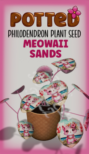 Potted: Philodendron Plant Seed: Meowaii Sands
