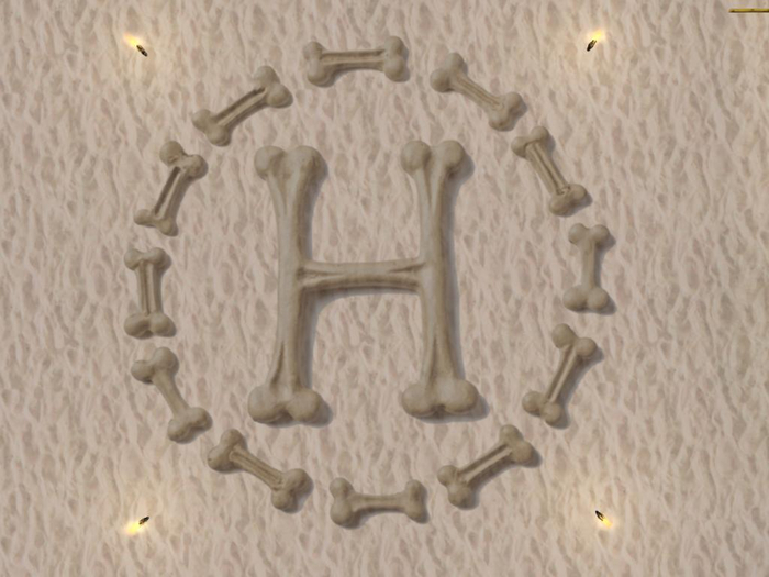 Helipad bones