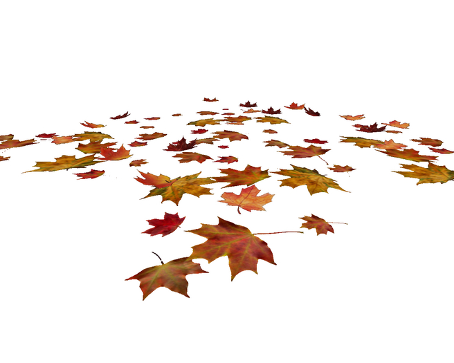 Atheria Designs Leaves on the Ground **2025 Edition**
