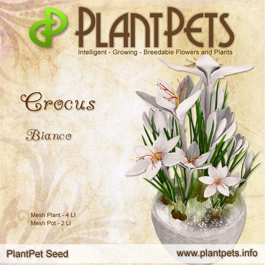 PlantPet Seed [Crocus *Bianco*]