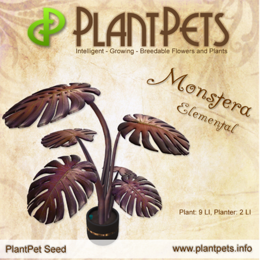 PlantPet Seed [Monstera *Elemental*]