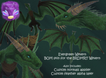 ~:;Butterfly Butter:;~ Evergreen Wyvern
