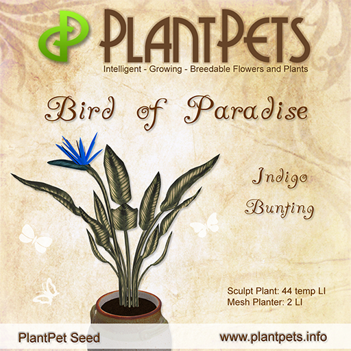 PlantPet Seed [Bird of Paradise *Indigo Bunting*]