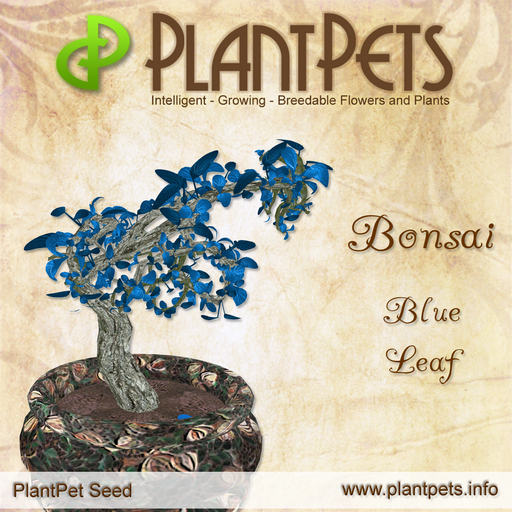 PlantPet Seed [Bonsai *Blue Leaf*]
