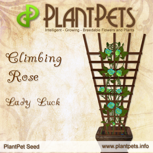 PlantPet Seed [Climbing Rose *Lady Luck*]