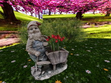 Gnome 2 with Red Tulips 