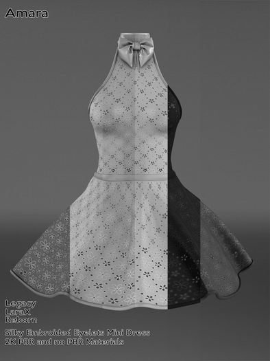 1W-Amara-Embroided Mini Dress DEMO