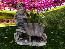 Gnome 2 with Daffodils Two-Tone