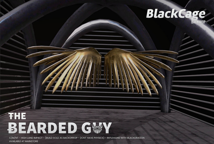 Black Cage Backdrop - The Bearded Guy