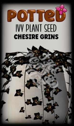 Potted: Ivy Plant Seed: Chesire Grins