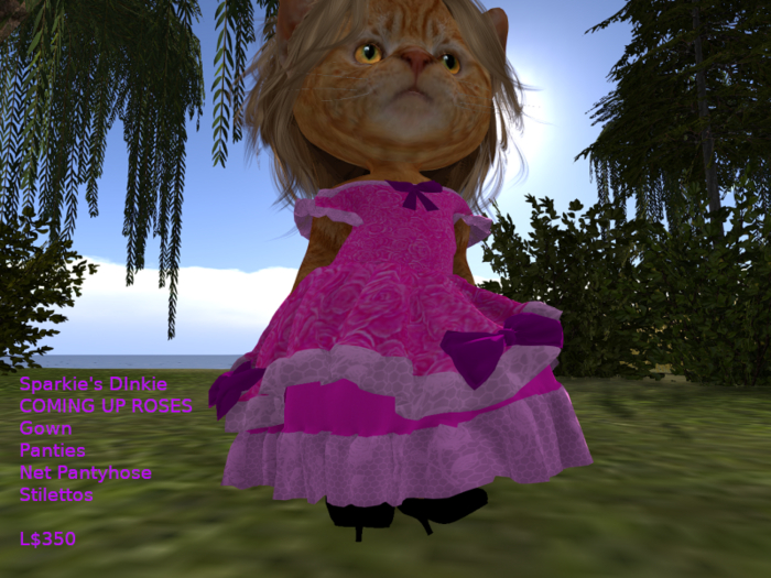 Sparkie's Dinkie Gown Coming Up Roses