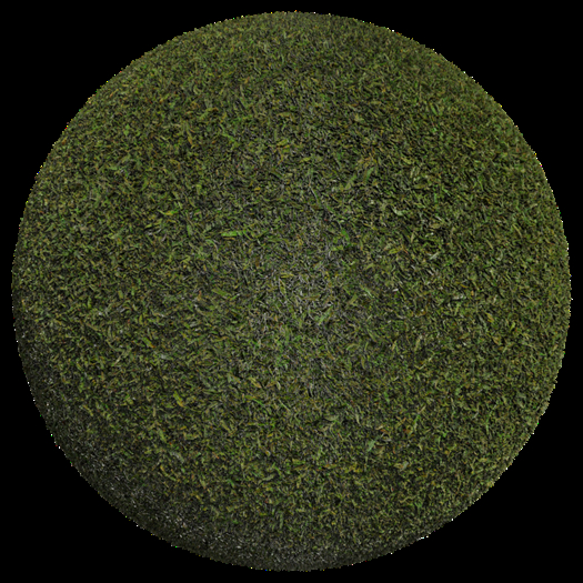 IVO Grass 003