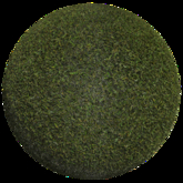 IVO Grass 003