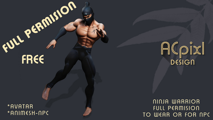 Ninja Warrior