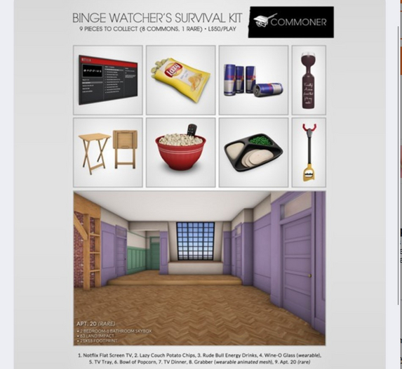 [Commoner] Binge Watcher's Survival Kit / Apt. 20 RARE