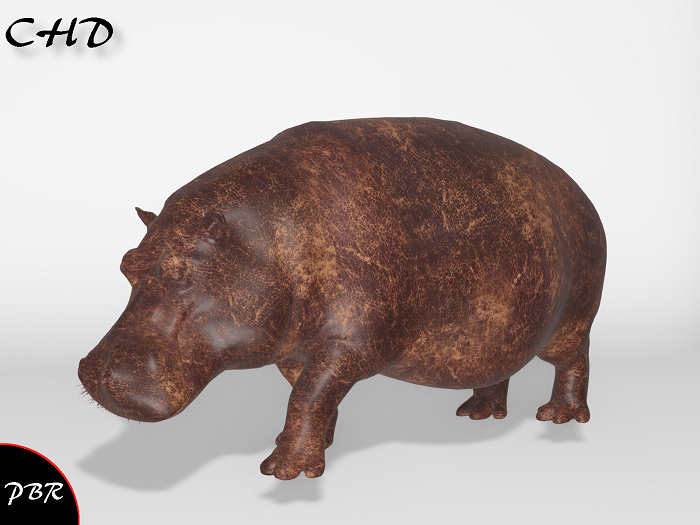 [CHD] Hippo A46