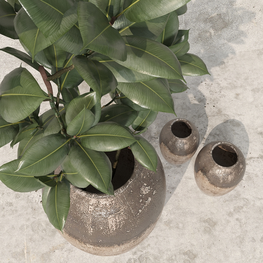 [Gruwcreation] Leo Rustic Plant