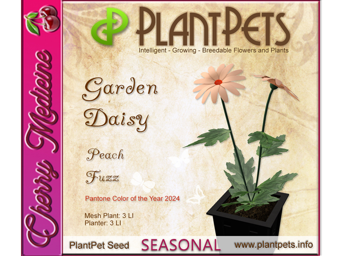 PlantPet Seed [Garden Daisy *Peach Fuzz*]