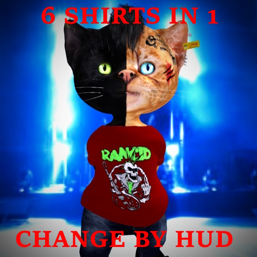 .::KS::.dinkie-summer-shirt-rancid+HUD