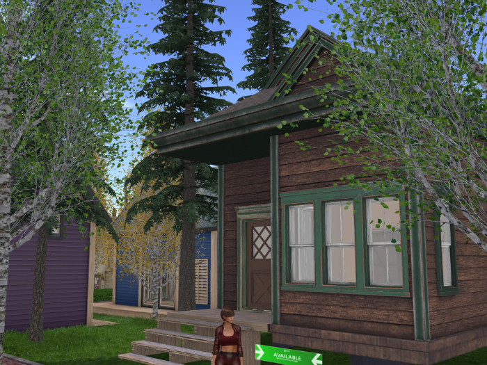 Cute, Affordable Tiny Home - Rents for $100L per Week (TH8)