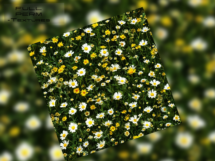 -ART- FULL PERM Meadow with flowers_- Textures  25