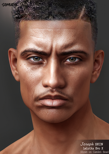 SAMURAI EvoX BOM Skin Joseph FATPACK 6 Tones Total