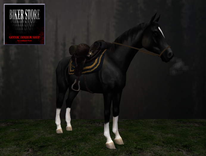 #Horse with Saddle and Sound