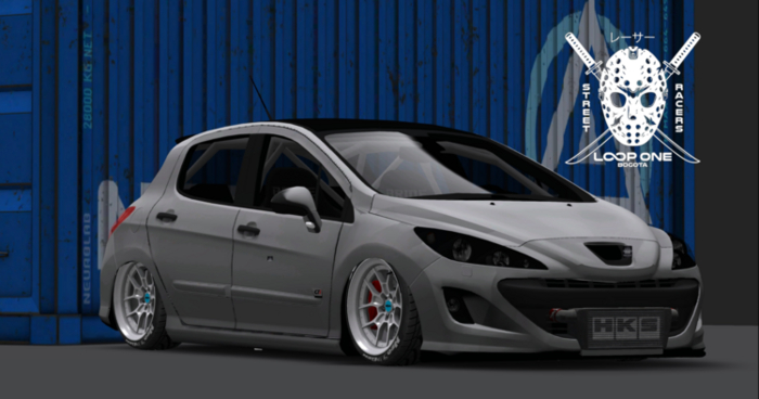 PEUGEOT 207 - LOOP ONE