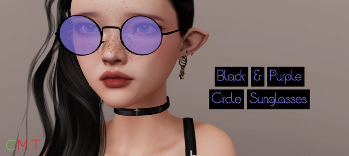 TLT-  Purple/Black Circle Sunglasses