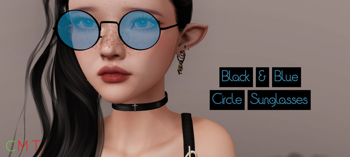 TLT-  Blue/Black Circle Sunglasses