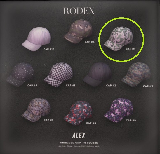 RODEX: Gacha - Alex Cap #7