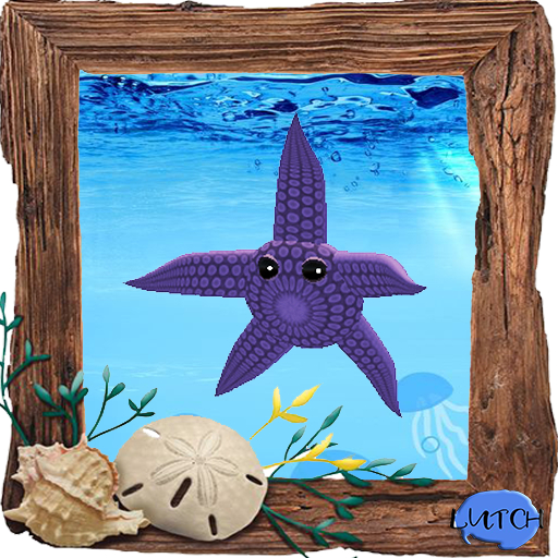 (7S) Common Stuff: Purple Starfish