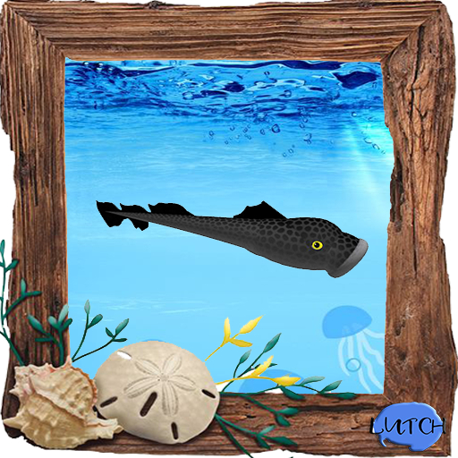 (7S) Uncommon Fish: Gray Lamprey