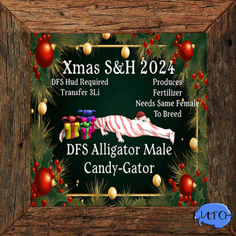 Second Life Marketplace - DFS Alligator Male - Candy-Gator (Xmas Shop ...