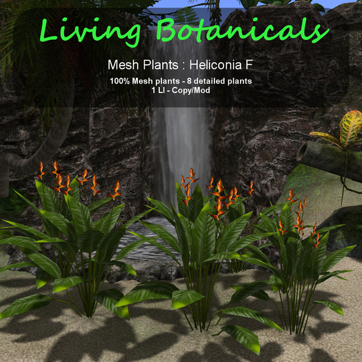 Inochi Botanicals - Heliconia F