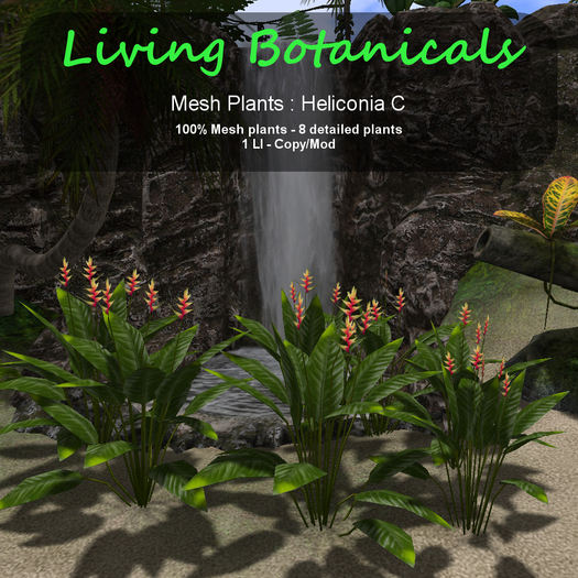 Inochi Botanicals - Heliconia C