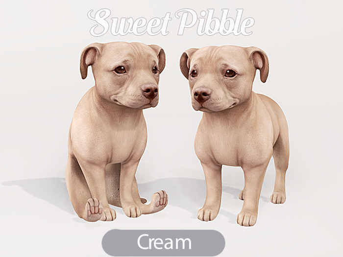 Foxwood - Sweet Pibble - Cream