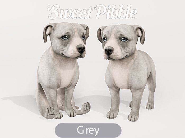 Foxwood - Sweet Pibble - Grey Stripe